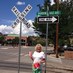 Sylvia J H Pannell (@hillyardpannell) Twitter profile photo