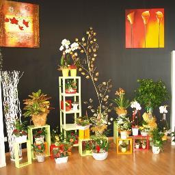 EspritdArum's profile picture. Fleuriste créateur, naissances, mariages, deuils. Ateliers floraux. Livraisons
