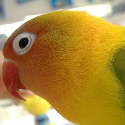 ネットで話題沸騰 厳選つぶやき集 Qefudahemuwe Twitter ネットで話題沸騰 厳選つぶやき集 Qefudahemuwe Twitter