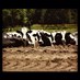 Allison Spence (@spence_aa) Twitter profile photo Allison Spence (@spence_aa) Twitter profile photo