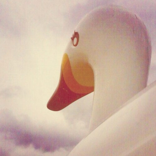 peterrabbit_12's profile picture. 