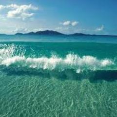 Minha opinião sobre a vida, nosso eco sistema, nossa politica, nosso capitalismo, a educação, o álcool, as drogas. entre tantos assuntos. by bio