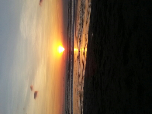 xa_lee's profile picture. 