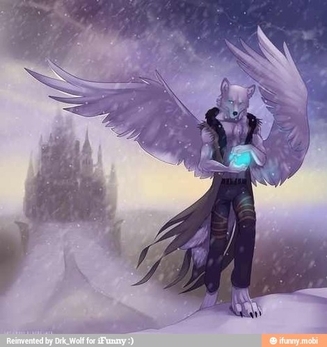 wolf/demon always looking for more pets/slaves  my kik is Syrnwolf   daughter: @Alice_Blade_69 proud member of the #MoonPack