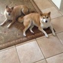 Kevin Gilman - @KevinStockwatch - Twitter