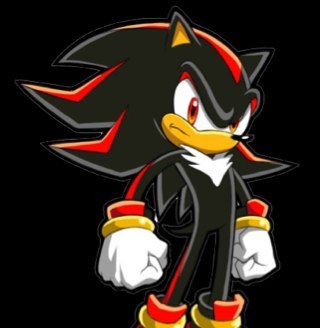 I'm Shadow The Hedgehog, the ultimate life form.  Sister @TheFluffyBecky_