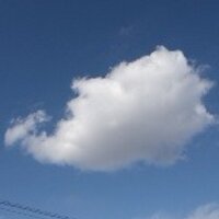 くま (@kumachang9246) 's Twitter Profile Photo くま (@kumachang9246) 's Twitter Profile Photo