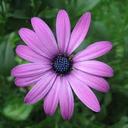 Katie Sandquist - @katie_sandquist - Twitter