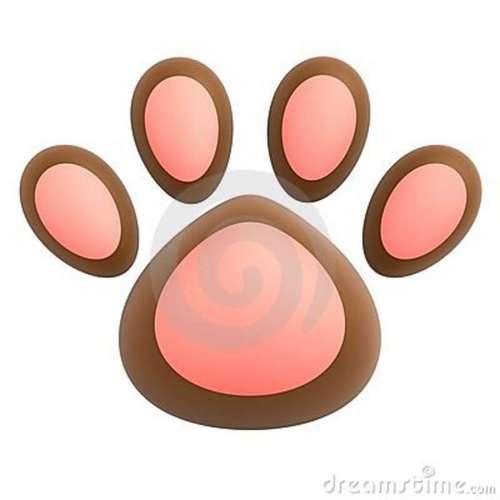 Doggie Daycare & Sitter. Taking a trip or need a break from you furry. Contact us. DogsBestFriendMiami@gmail.com