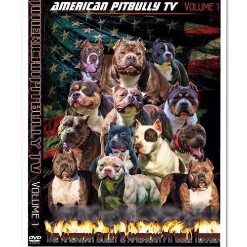 Catering to the American Pit bull Terrier and the American Bully.