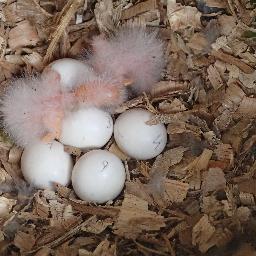 galvez_marco's profile picture. 