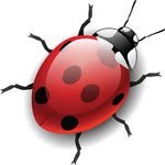 The next big thing in social media is almost here #VOXBUG Follow  and retweet to have fist try. Limited space for beta testers. Revolutionize Social Media