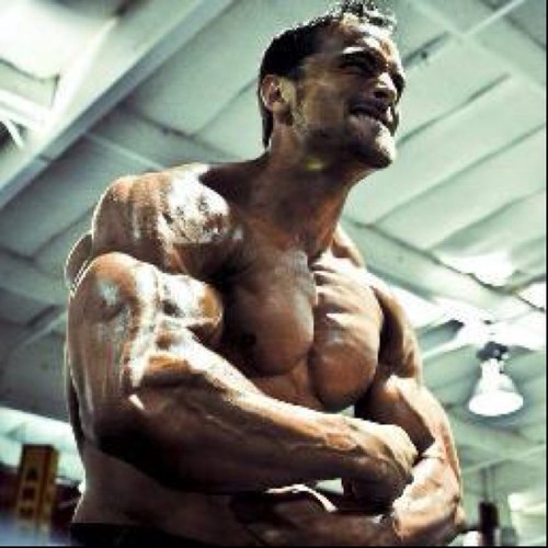 DailyGymDose's profile picture. Daily gym memes, inspiration, and anything gym related.

Submit photos to dailygymdose@gmail.com to get posted public to our twitter!