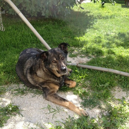 TboivinTheresa's profile picture. 