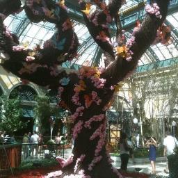 jigglesfrog's profile picture. Working class San Franciscan.