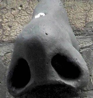 nunheadnose's profile picture. Who knows? Nunhead nose.