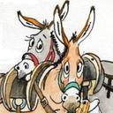 Mario Cavallo - @mariocavallo - Twitter