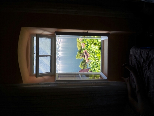 pccelica's profile picture. 