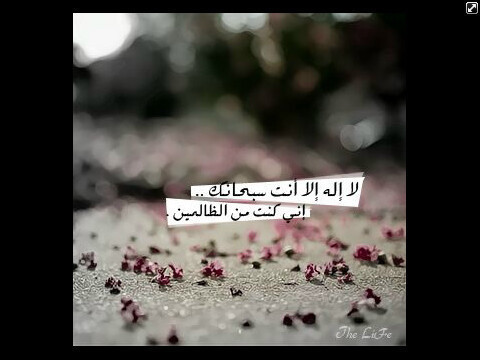 سبحان الله وبحمده سبحان الله العظيم