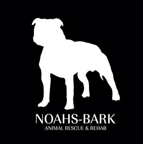 We are a pit bull rescue located in Chattanooga, TN. Our animals come from high kill shelters & homeless or life threatening situations. ADOPT, DON'T SHOP