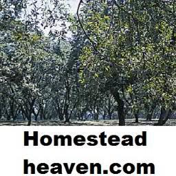 The Homestead Heaven is a new website, soon to be the web's most comprehensive resource on homesteading, survivalism, and self-sufficiency