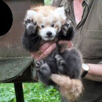 Steven Murray (@steve_muzzy) 's Twitter Profile
