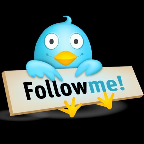 Team. Follow. Back. You follow me. I follow you. FOLLOW @kaelebcielo NOW!