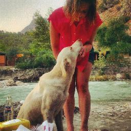 Music lover, festival goer, cat owner, adventure seeker, general day dreamer....