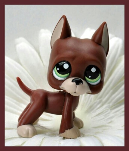 Hey, I Like Lps, Music, And Minecraft! I Have A Really Sweet Girl Firend! Follow @lpsemily ! :3