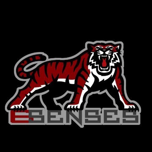 Call Of Duty Amateur Competitive Team Roster: @XziLeA2, @Tearshedd @Marlene_johnny @Inimlcal #A2 Squadron Business Contact: http://TeamSixSenses@ymail.com