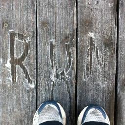 runlikeananna's profile picture. I was fat and fifty and learnt to run.  Not so fat now and fifty one!