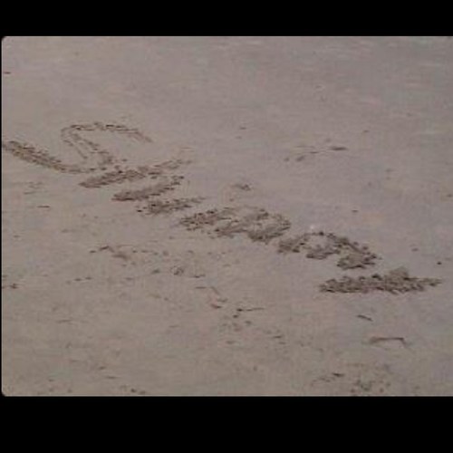 shimmyfisch's profile picture. You can't change the past, but you can change the future.