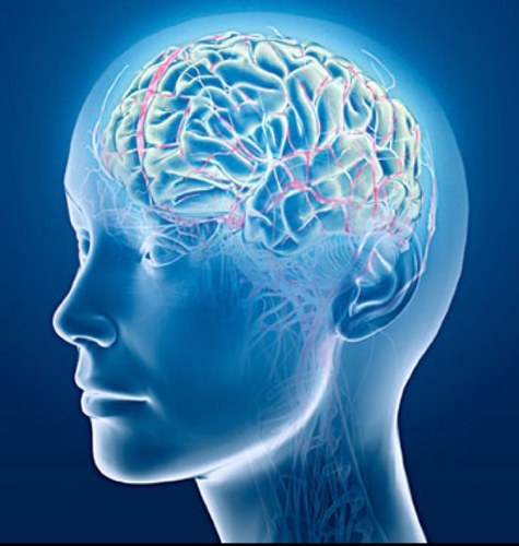 GVHSBio's profile picture. 