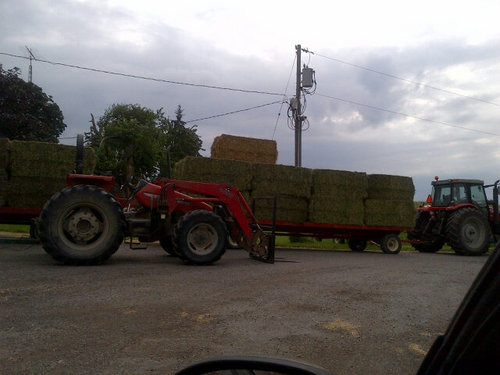 a day in the life of a dairy farmer