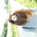 Profile Picture of Lydia Grace Daley (@LiddyDaley) on Twitter