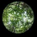 geography unc (@geographyunc) Twitter profile photo geography unc (@geographyunc) Twitter profile photo