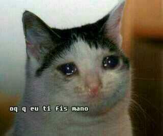 pq fas issu cumigu
