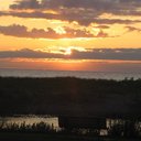 Barbara Houser - @tasshous - Twitter