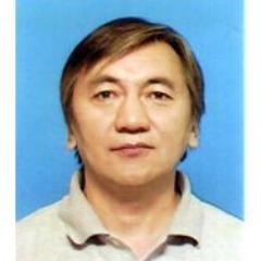 Mongolian, IT project management