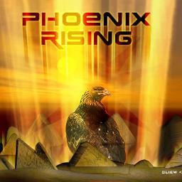 Lsjr007's profile picture. PC Builder, Ravens Fan, Romantic