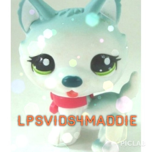 You know that girl who films toys, makes videos out of them, and then post them on YouTube? Yeah, thats me. I'm not playing, just making films....all by myself.