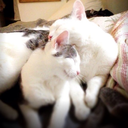 Neta027's profile picture. Male