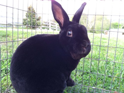 danabethraz's profile picture. 