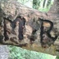 mayank raturi (@mayankraturi3) 's Twitter Profile