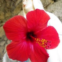 Miriam Mimms (@miriammimms) 's Twitter Profile