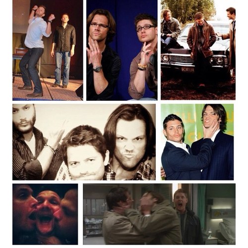 Supernatural addict! My twitter page for all things Supernatural. #SPNFamily. 

~Supernatural~Divergent~Hunger Games~ ~The Fault in our Stars~The Outsiders~