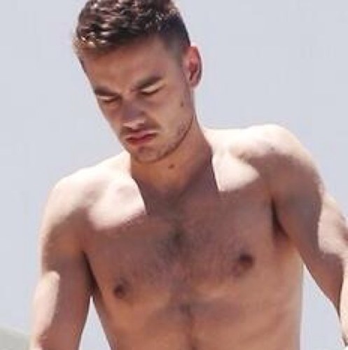 just a reminder that liam will follow you dont ever give up! :D @typicalumx