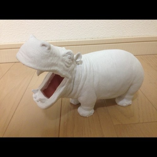 主に腹筋をしています