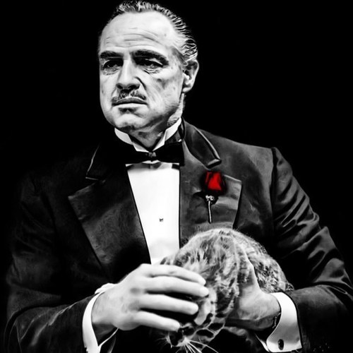 The Best And Most Memorable Movie Quotes Of All-Time
