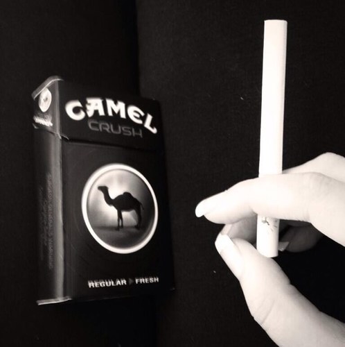 RedsnVodka's profile picture. Life is just a bunch of ups and downs.